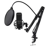 Ensemble de carte son BM800 professionnel PC V8S avec microphone à condensateur de Studio de Style bureau BM800 pour diffusion en direct karaoké Po