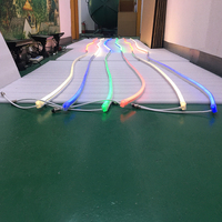 Décoration de bâtiment extérieur IP65 Silicone 12x25mm SPI DMX adressable SMD5050 Digital Smart Pixel RGB LED Strip Rope Light Neon Flex