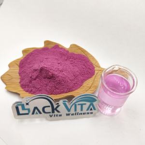 Harga grosir bubuk buah konsentrat jus Blackcurrant larut instan - Product Image 2