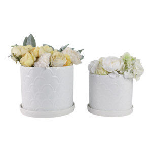 Vasi decorativi con design a conchiglia e sottovasi per piante da interno ed esterno, succulente ed erbe aromatiche, eleganti - Product Image 2
