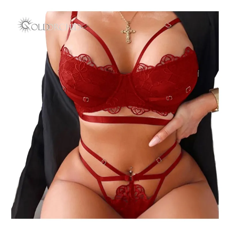 Fashion Two piece lace Embroidery women lingerie bra and panty sets underwear sets for Sexy Mature women