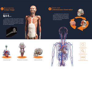 Touch screen umano virtuale 3d anatomia tavolo dissezione anatomia tavolo <span class=keywords><strong>università</strong></span> - Product Image 3
