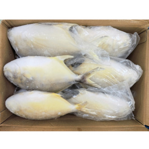 Pesce Rotondo Congelato, Pompano Dorato, Pomfret, Frutti di Mare Cinesi, Pompano Dorato 400-500, Pomfret Dorato - Product Image 2
