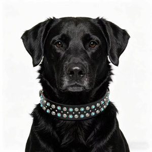 Collar de Cuero Genuino con Turquesas Incrustadas, Estilo Retro Occidental, Correa para Perros Medianos y Grandes - Product Image 2