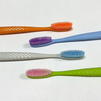 Spazzolino da Denti Manuale per Adulti con Testina Lunga, Setole Morbide Colorate, Manico Antiscivolo, Logo Personalizzato, Cura Orale