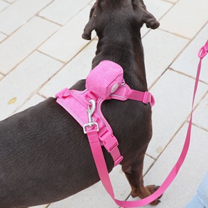 Set di guinzagli per cani di grossa taglia regolabili di qualità OEM set di guinzagli per cani riflettenti personalizzati senza trazione con <span class=keywords><strong>nome</strong></span> personalizzato - Product Image 3
