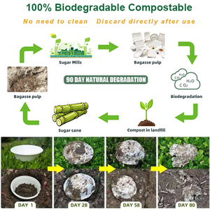 Vente en gros de bols carrés jetables en pulpe de papier de bagasse de canne à sucre, 100 % biodégradables, compostables, écologiques, sans PFAS, 1100 ml - Product Image 2