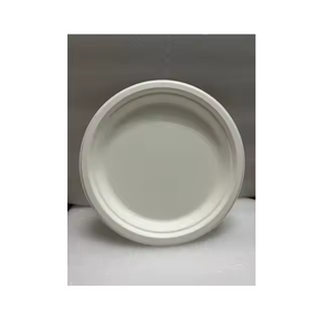 Plaques en papier de bagasse dégradables durables Plaques de bagasse blanches jetables Plaques de bagasse jetables pour la fête - Product Image 1