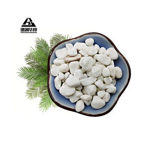 Dolomita para Relleno y Refuerzo de Plásticos y Caucho, Polvo de Dolomita para Formulación de Pinturas y Recubrimientos - Product Image 6