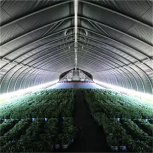 โครงการแบบครบวงจรเรือนกระจกอัตโน<span class=keywords><strong>ม</strong></span>ัติเต็<span class=keywords><strong>ม</strong></span>รูปแบบ<span class=keywords><strong>เร</strong></span>ือนกระจกตั<span class=keywords><strong>ด</strong></span>แสง<span class=keywords><strong>เร</strong></span>ือนกระจก - Product Image 5