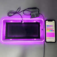 Luz LED para Matrícula con Bluetooth y APP, Estándar Estadounidense para Autos Americanos, Modos Dinámicos Multicolor RGB, Conexión Plug & Play, Resistente al Agua IP65