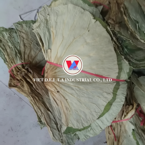 ชาสมุนไพรใบบัวแห้งฉลากสะอาดสำหรับเพิ่มภูมิคุ้มกันและสุขภาพ - Product Image 1