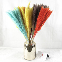 Offre Spéciale : 15 Pampas Naturelles Moelleuses de 60 cm pour Décoration de Mariage