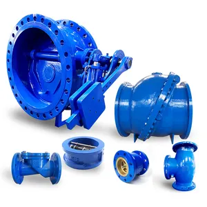 Pn16 Duction Cast Iron Body Flang Silence double plate Swing lift Ball type non return valve Check Valve