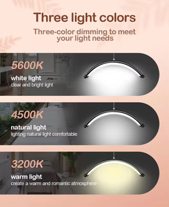 24 Inch LED Lash Light Half Moon Ring Light with Floor Tripod Tattoo Eyelash Beauty Salon Photography Video Lighting - Product Image 3