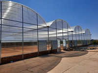 Multi-Span Boog Rond Polycarbonaat Kas Agrarische Commerciële Groene Huis Polycarbonaat Tuinkas Leverancier