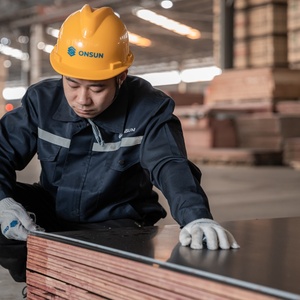 Lâm Nghi gỗ Nhà máy đen ngón tay doanh lõi phim phải đối mặt ván ép kích thước 1220x2440x16mm - Product Image 5