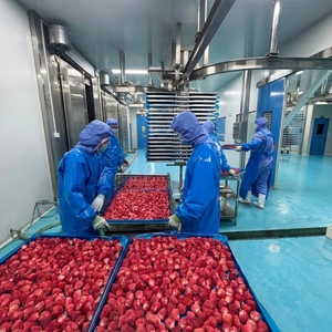 Légumes et <span class=keywords><strong>fraises</strong></span> lyophilisés biologiques, goût naturellement sucré, fruits secs sous vide, procédé de séchage FD - Product Image 6