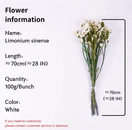 ลืมฉัน-ไม่ใช่สีขาว100กรัม