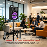 Système de sonorisation portable avec batterie, trépied, 2 microphones sans fil 2.4G, télécommande, pour extérieur, pour enceinte de fête 5.0