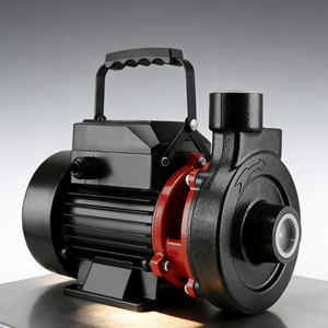 Proveedor Profesional de Bombas de Agua Autocebantes con Motor de Bobinado Industrial para el Hogar - Product Image 1