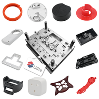 Servizio di Stampaggio a Iniezione Plastica Personalizzato, Involucri in Plastica, Materiali PP ABS PC PA POM PET PMMA PES TPE PBT, Assemblaggio e Placcatura