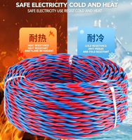 Fil flexible WDZN-RVS-2*0.75/1.0 mm à faible émission de fumée et sans halogène pour l'ingénierie des circuits d'urgence résistants au froid et à la chaleur