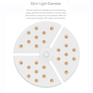 Shadowless Sensor Lamp 36W Versatile Wall Mounted LED Surgical Lighting For <strong>Dental</strong>, Cosmetic, Veterinary Procedures - Product Image 5