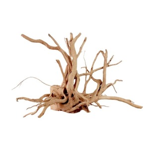 Grand bonsaï pré-bouilli bois flotté forêt tropicale humide écologique Yinuo ornements d'aquarium décor de réservoir de poissons sacs de salon - Product Image 1