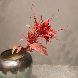 Fleur artificielle en plastique Epiphyllum 10cm-30cm, décoration de mariage, arrangement floral simulé - Product Image 4