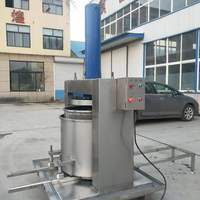 Commerciële Koude Pers Hydraulische Pers Druif Duindoorn Loquat Aloë Vera Cassave Fruit Juicer Extractor Machine