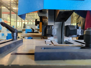 Poinçon et cisaille en acier en métal de ferronnier hydraulique Q35Y-20 de haute qualité