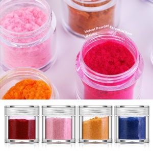 Ensemble de 10 poudres à ongles en velours de couleur française, paillettes floquées longue durée, pigment miroir pour manucure en salon - Product Image 3