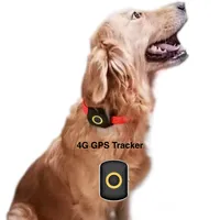 4G वाईफ़ाई £ IP67 निविड़ अंधकार रिचार्जेबल कुत्ते जीपीएस ट्रैकर कॉलर