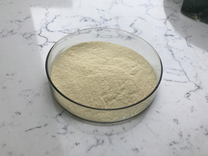 Stichopus Variegatus Semper Source Polvo de extracto de pepino de mar liofilizado hidrolizado - Product Image 2