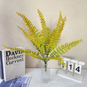 13 feuilles de fougère persane en or de haute qualité exportées au Vietnam meilleur prix compétitif en <span class=keywords><strong>2022</strong></span> avec de nombreux avantages - Product Image 4