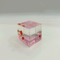 Presse-papiers carré en acrylique liquide avec figurine de dauphin marin 3D flottante à l'intérieur, ornement de bureau, souvenir touristique personnalisé, papeterie