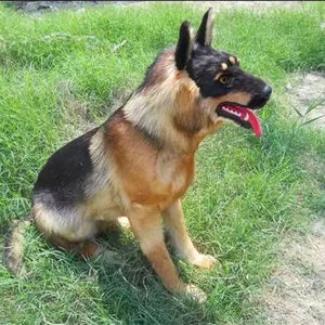 Modello animale personalizzato grande <span class=keywords><strong>cane</strong></span> pelliccia artigianato fotografia oggetti di scena decorazione del giardino ornamenti simulazione <span class=keywords><strong>cane</strong></span> <span class=keywords><strong>lupo</strong></span> - Product Image 6