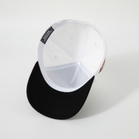 Gorra de Béisbol Clásica de Dos Tonos, Estructurada, Personalizada, de 5 Paneles, con Logotipo Bordado del Equipo o Club, con Cierre a Presión