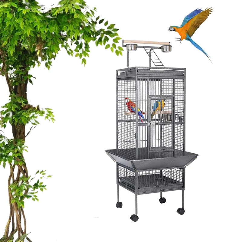 Toptan birden lüks tasarımlar 61 inç siyah çelik metal demir aviary kanarya budgie pet papağan büyük kuş kafesi satılık
