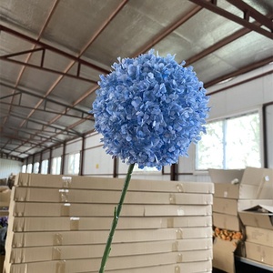 <span class=keywords><strong>Fleur</strong></span> <span class=keywords><strong>d</strong></span>'hortensia artificielle, <span class=keywords><strong>fleur</strong></span> <span class=keywords><strong>d</strong></span>'<span class=keywords><strong>oignon</strong></span> ronde, grande <span class=keywords><strong>fleur</strong></span> <span class=keywords><strong>d</strong></span>'hortensia pour la <span class=keywords><strong>d</strong></span>écoration de mariage - Product Image 4