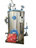 Chaudière à vapeur multi-combustibles (chaudière à eau chaude), capacité d'évaporation personnalisable, large gamme d'applications