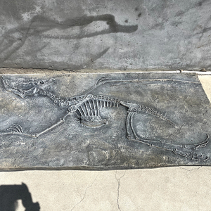 Jurassic High 2M - Placa de Fósiles de Dinosaurio de Alta Calidad, Grande, Natural, para Niños, para la Educación Científica Popular y Sitios de Excavación - Product Image 5
