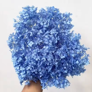 Pétalos de Hortensia <span class=keywords><strong>Annabelle</strong></span>, Caja de 100g, Flores de Hortensia Secas Preservadas con Tallo Corto para Arreglos Florales, Día de la Madre - Product Image 4