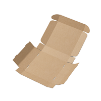 Carpeta de Cartón Kraft Marrón Ecológica con Logotipo Personalizado, con Forro de Esponja Corrugada, Embalaje de Fábrica, Venta al por Mayor, Envío por Correo
