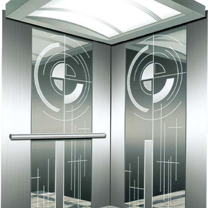 Ascensor Residencial a Medida de Fabricante Chino: Elevador de Plataforma con Panorámicas Impresionantes y Ahorro de Espacio - Product Image 4