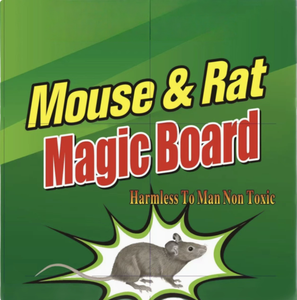 Piège à colle pour <span class=keywords><strong>souris</strong></span>, plaque collante anti-rongeurs - Product Image 1
