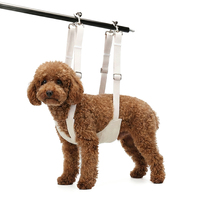 Harnais de toilettage pour chiens et chats, support de harnais multi-usage pour la coupe des ongles et le soin des griffes
