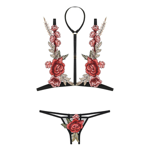 Sujetador de ropa interior Sexy traviesa para <span class=keywords><strong>chicas</strong></span> jóvenes, sujetador de señora Sexy, bragas, lencería bordada - Product Image 4