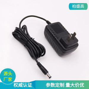 12V 2A <b>Power</b> <b>Adapter</b> DC Output 1M Cable Natural Cooling For Small Appliances Constant Pressure Model - Product Image 5